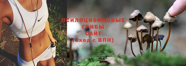 ECSTASY Алексин