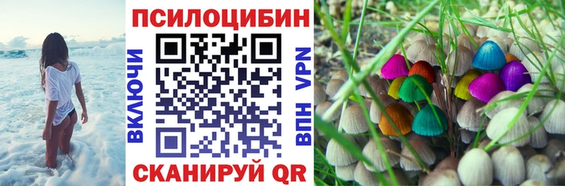 Псилоцибиновые грибы мухоморы  блэк спрут   Тюмень  продажа наркотиков 